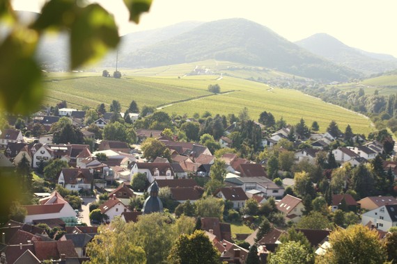 Bild Blick über Ilbesheim Weingut Kranz